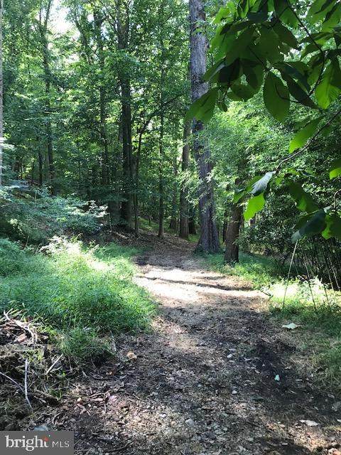 377 Weadley Road - Photo 1
