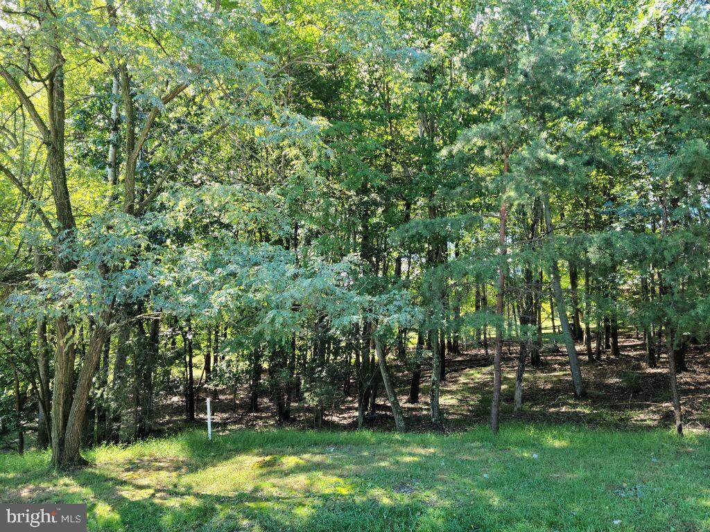 307 Warpath Lane - Photo 1