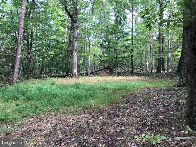 Carters Run Road - Photo 1