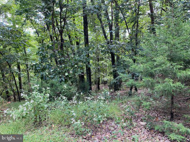 Lot 6 Anderson Ridge - Photo 1