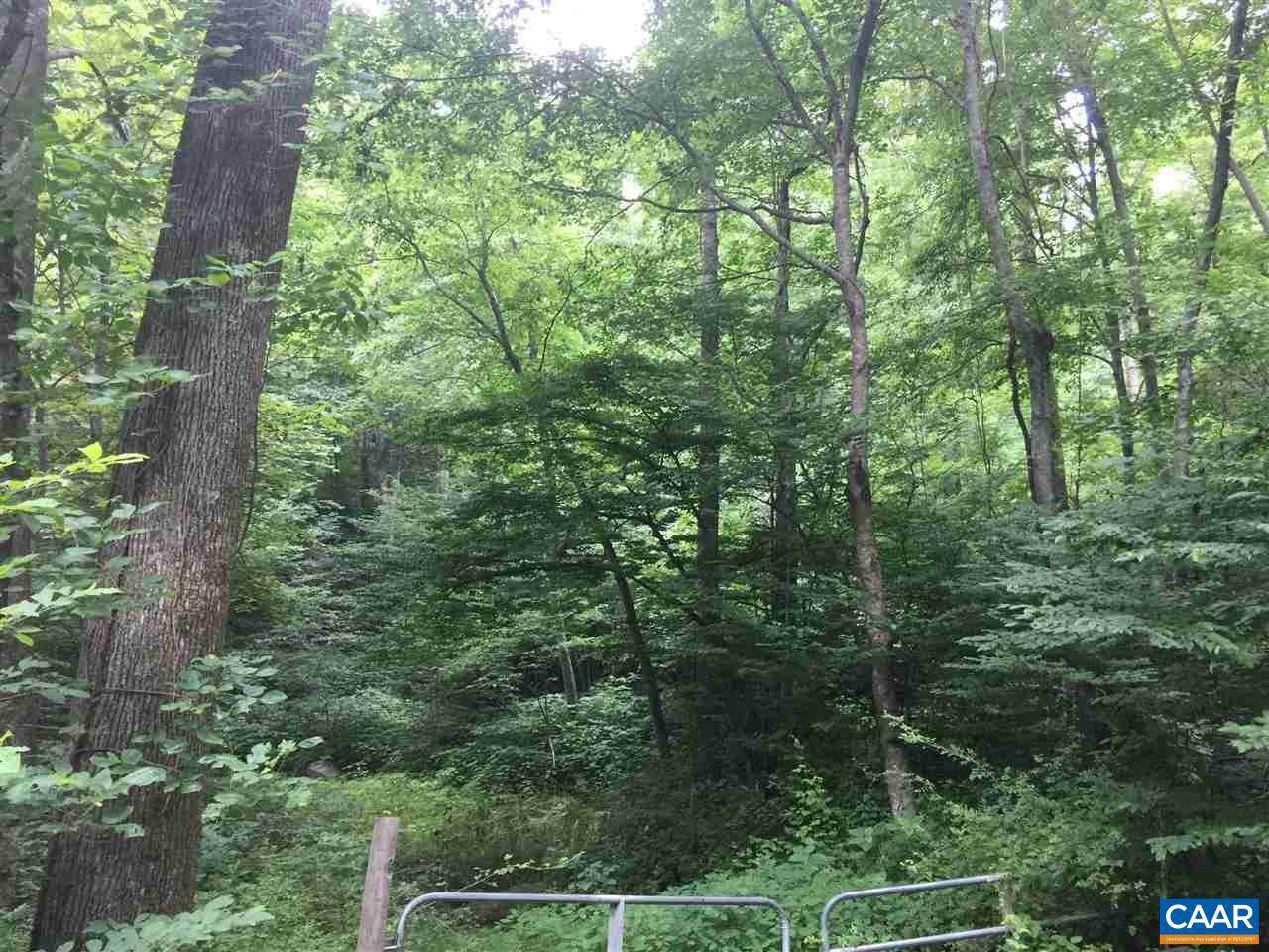 TBD Jarmans Gap Rd - Photo 1
