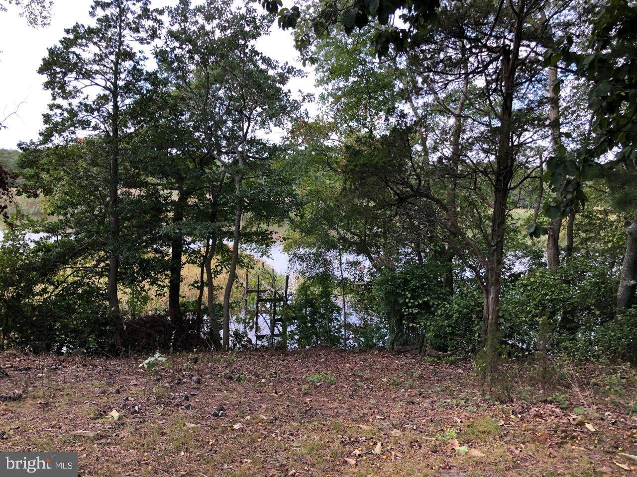 16 Old Stage Road - Photo 1