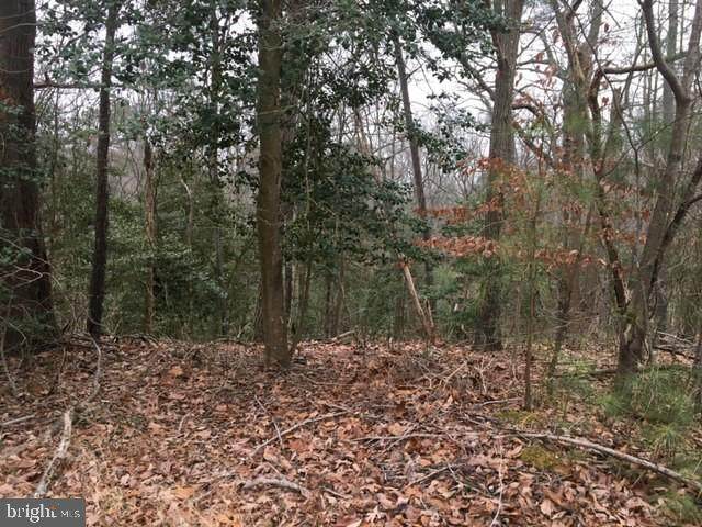 1138 Ranger Ridge Road - Photo 1