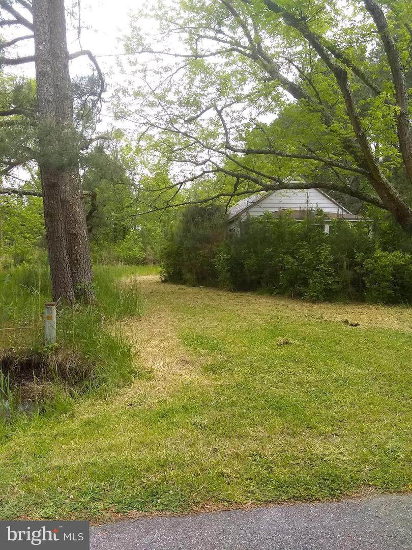 4070 Back Shelltown Road - Photo 1