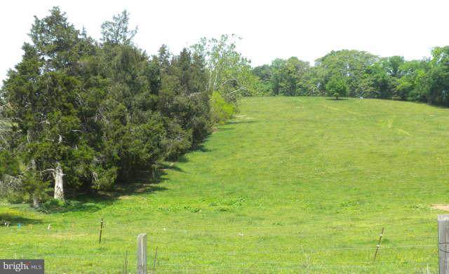 Middle - Photo 1