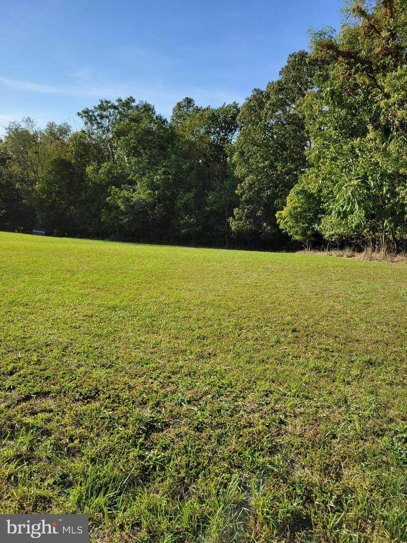 Lot 9 Douglas Lane - Photo 1