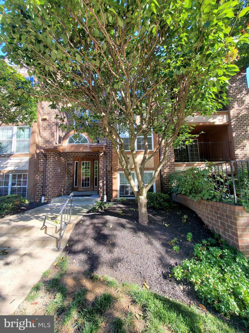 2105 Woodbox Lane - Photo 1
