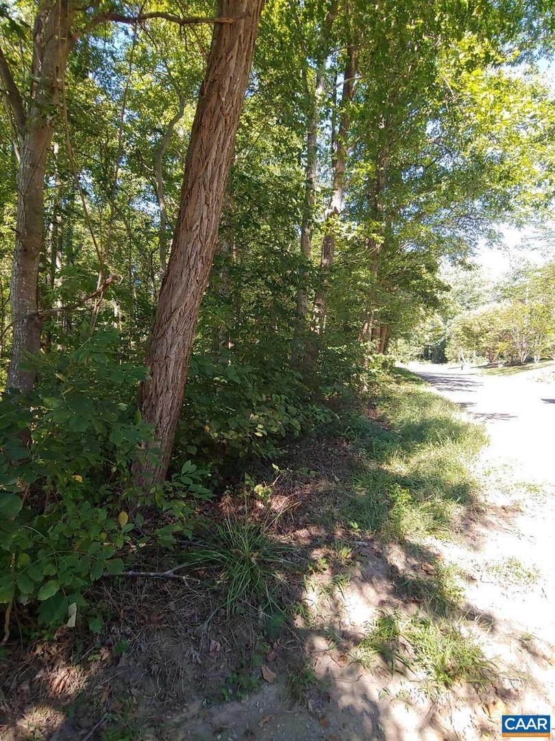 Dudley Mountain Rd - Photo 1