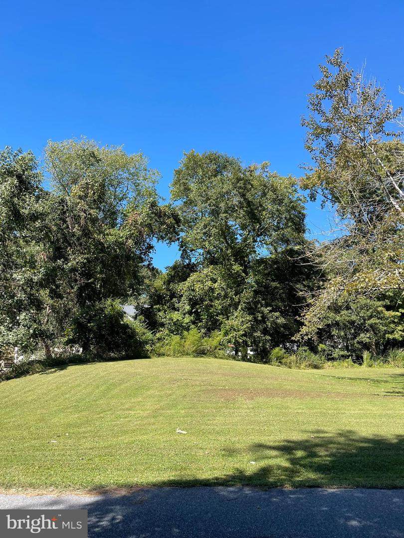 Lot 3 -14722 Blue Heron Drive - Photo 1