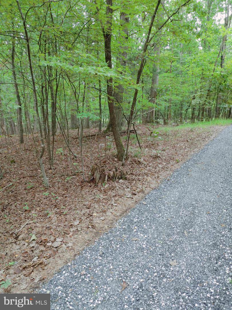 Lot B Shadow Mountain Ln - Photo 1