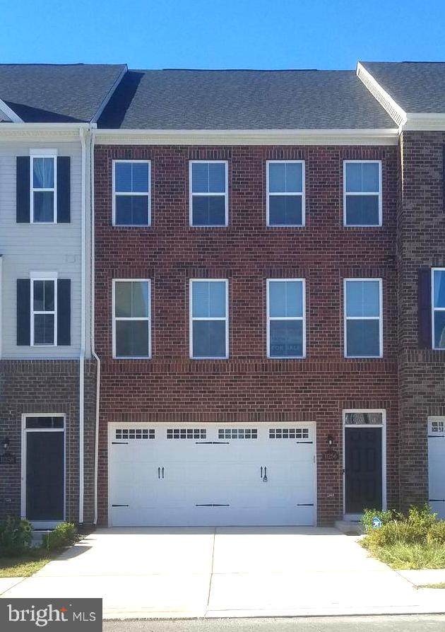 11256 Dry Spring Drive - Photo 1
