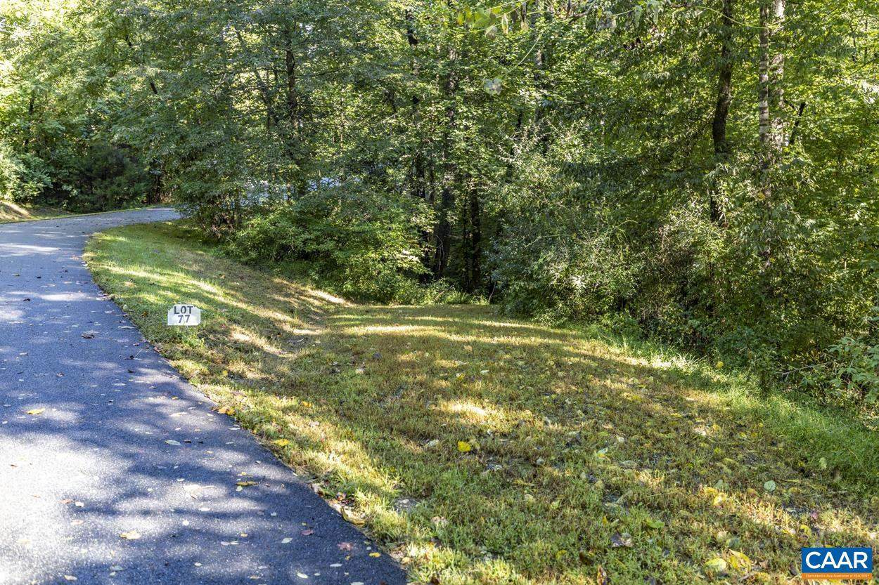 Pine Torch Ln - Photo 1