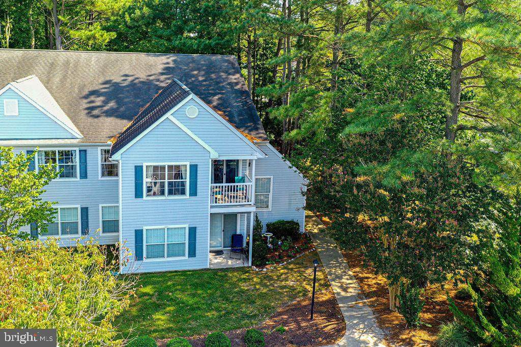 11431 Manklin Creek Road - Photo 1