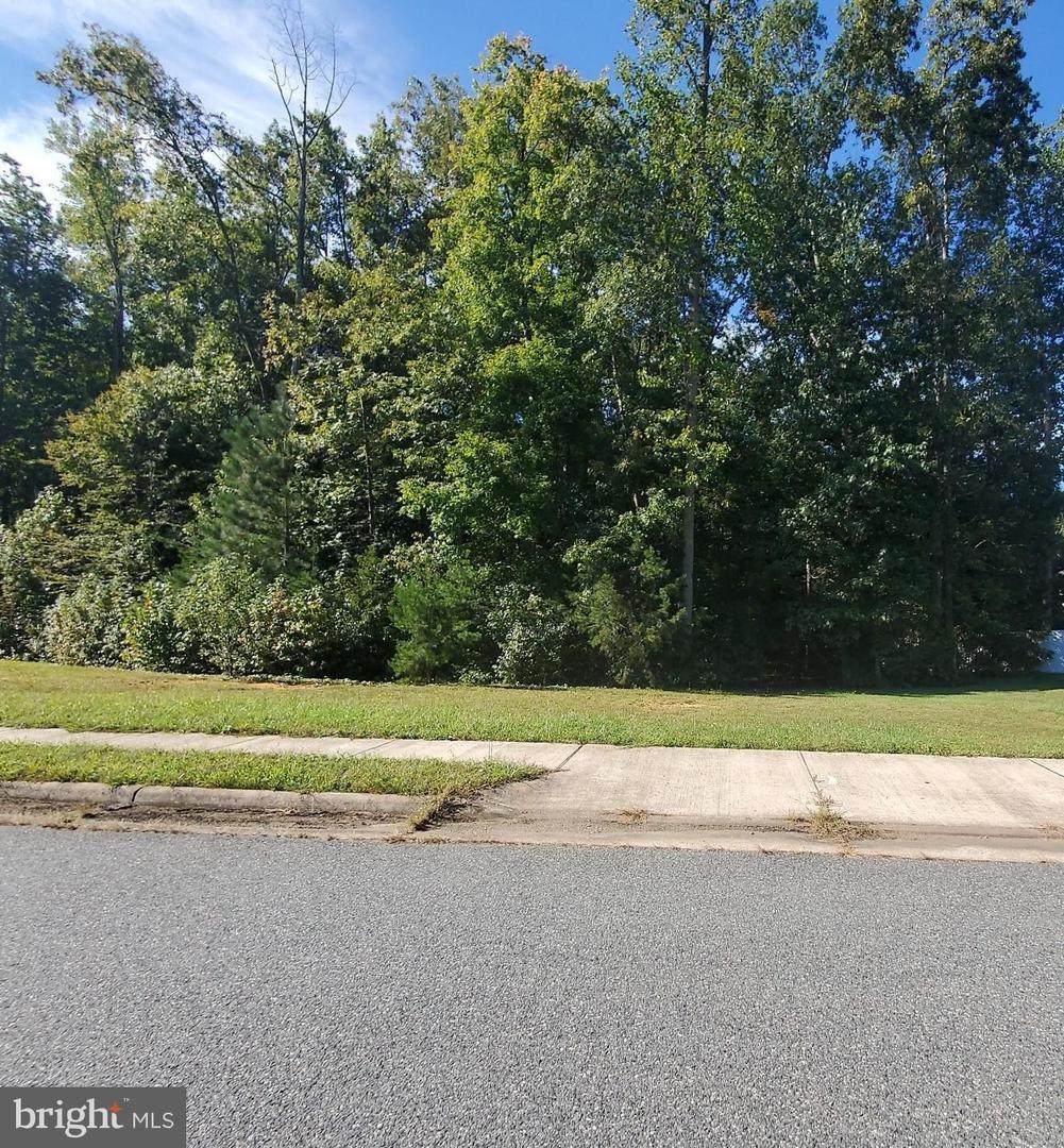 3917 Chapman Drive - Photo 1