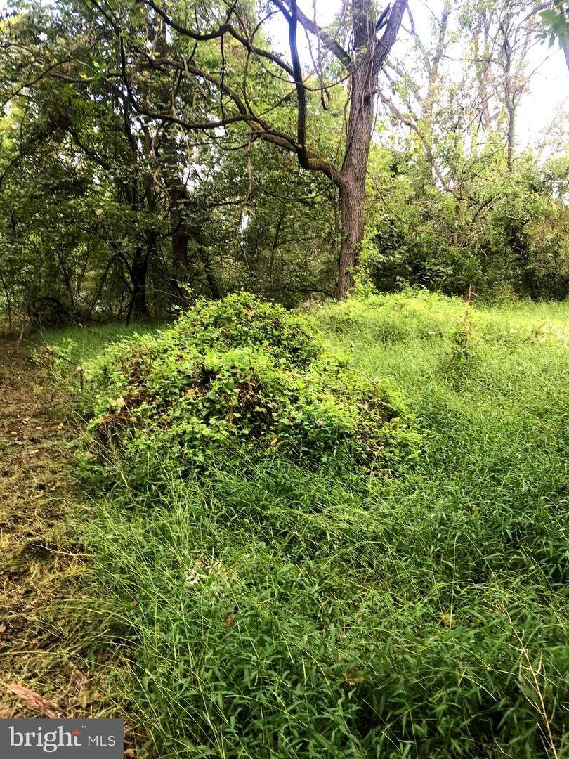Lot 2 Roundtop Road - Photo 1