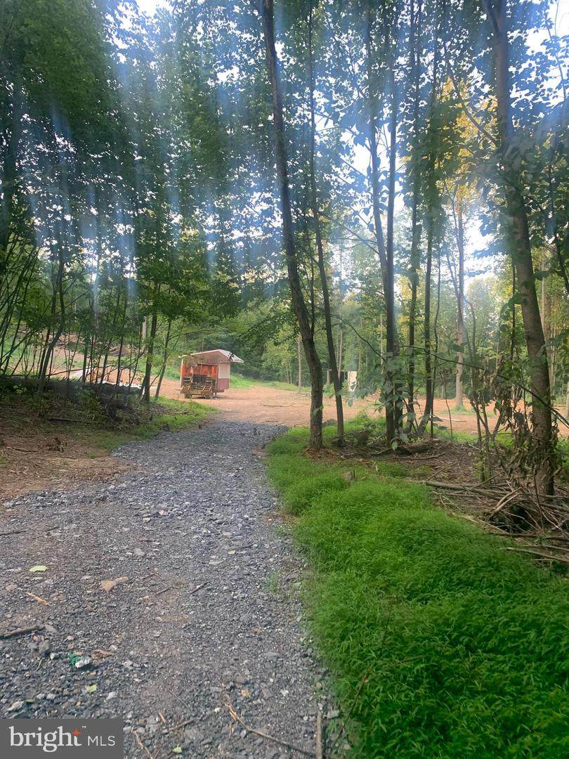 0 Appalachian Drive - Photo 1