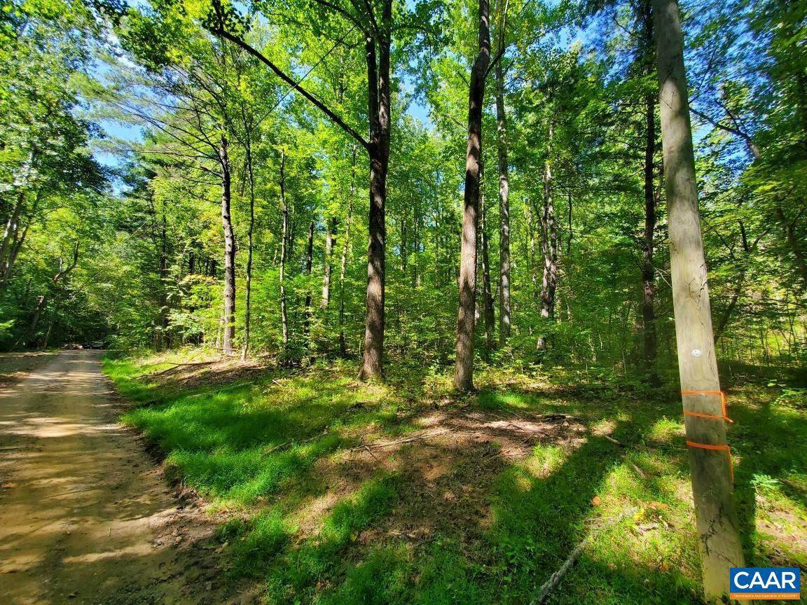 0 Wilderness Ln - Photo 1