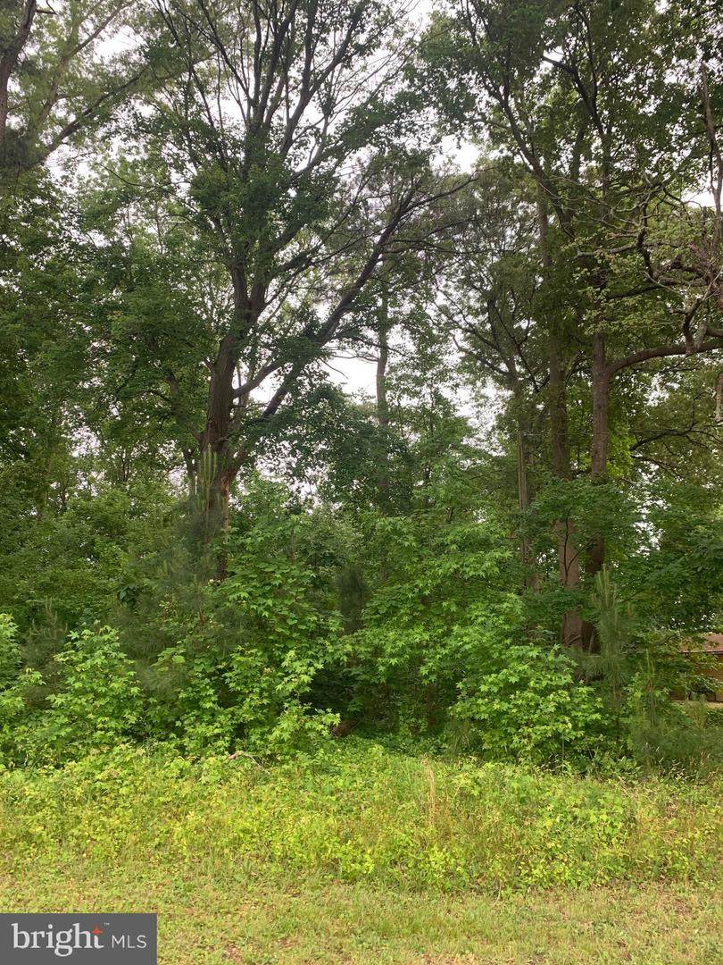 31932 Steele Drive - Photo 1
