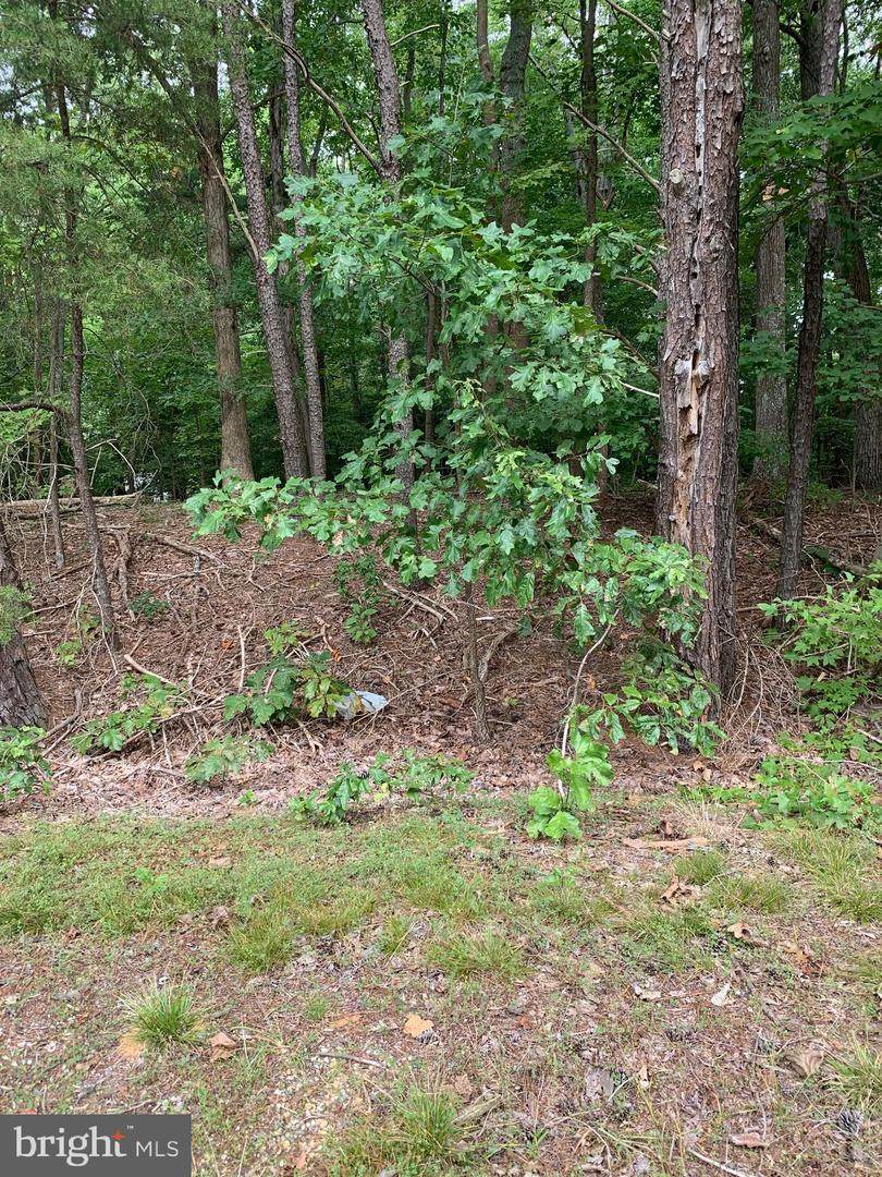 LOT 33 QUEENS WAY Queens Way - Photo 1