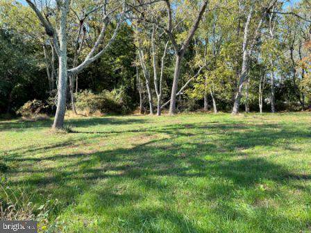 0 Alvine Road - Photo 1