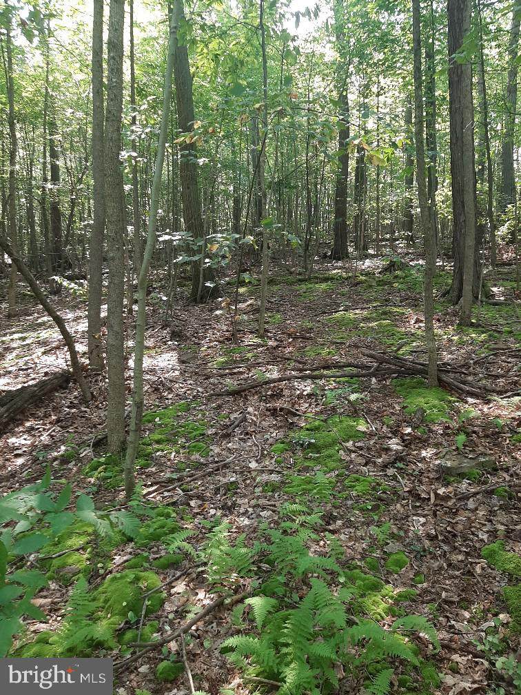166 Lazy Hollow Lane - Photo 1