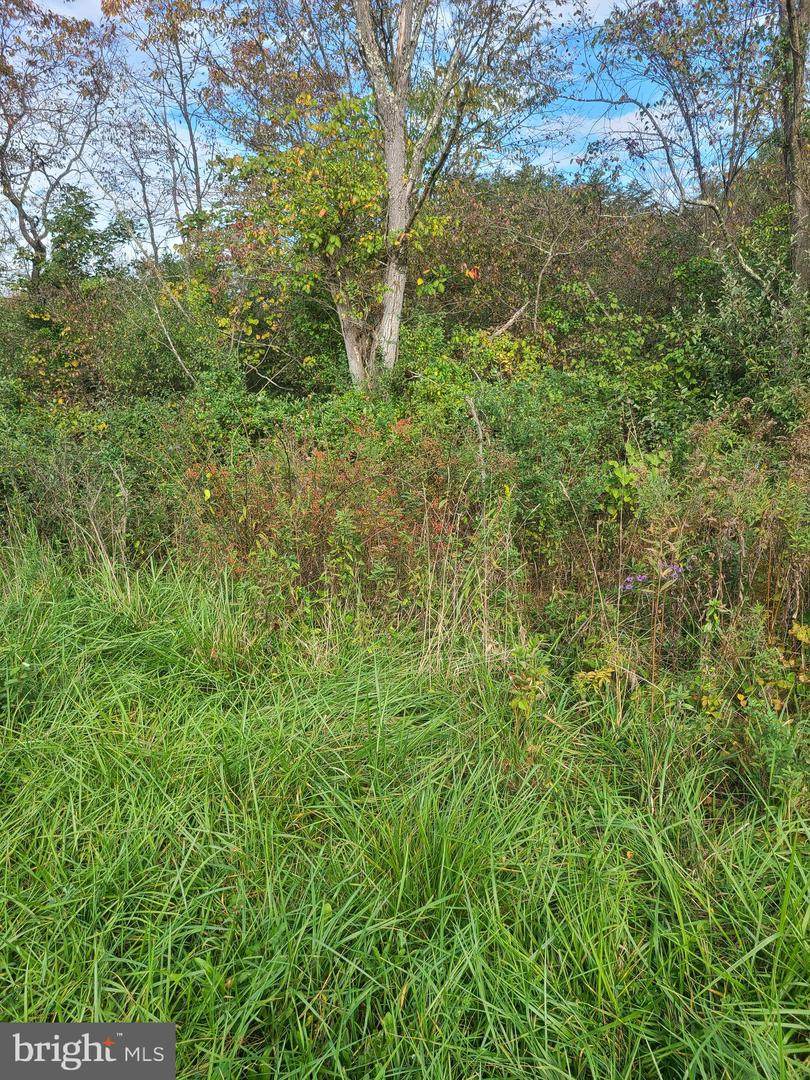 Snake Eyes Lane - Photo 1