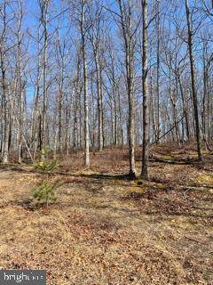 LOT 35 Trout Pass - Photo 1
