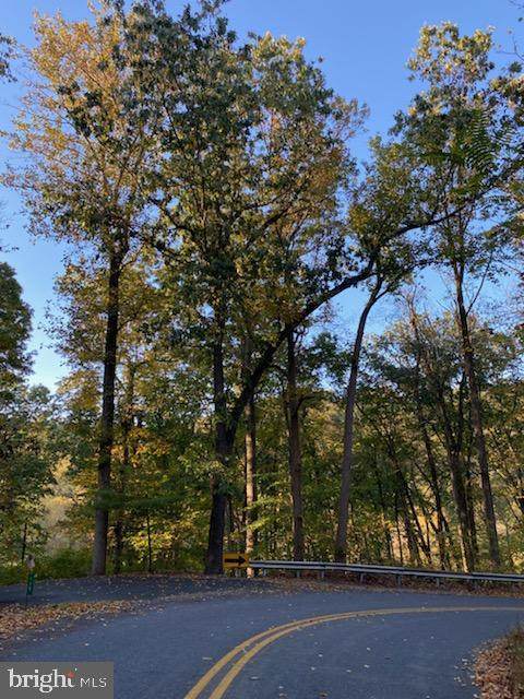 0 Fox Hollow Road - Photo 1