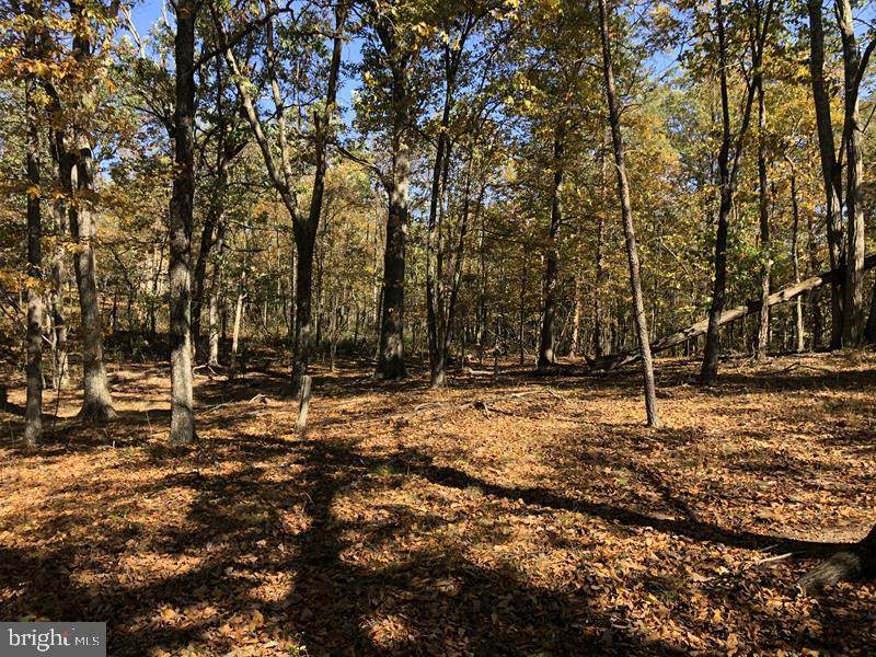 Fawn Meadow Lane - Photo 1
