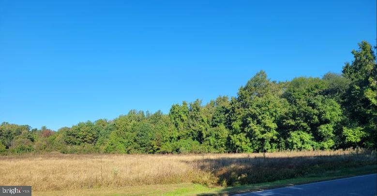 Brunkhorst Road - Photo 1