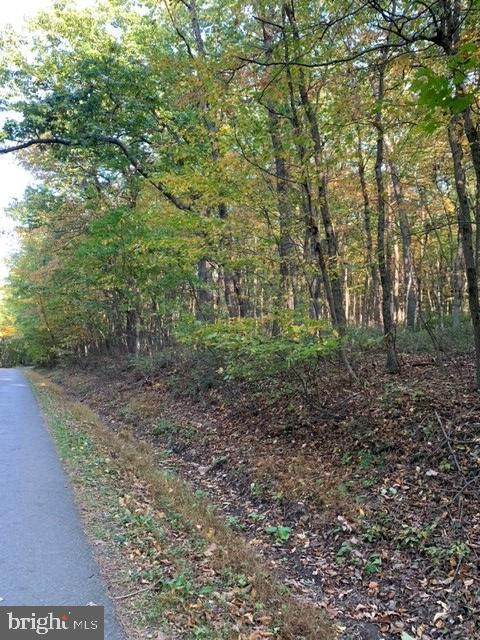 0 Chain Saw Road - Photo 1