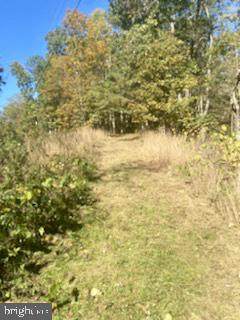 5 acres Palmer Road - Photo 1