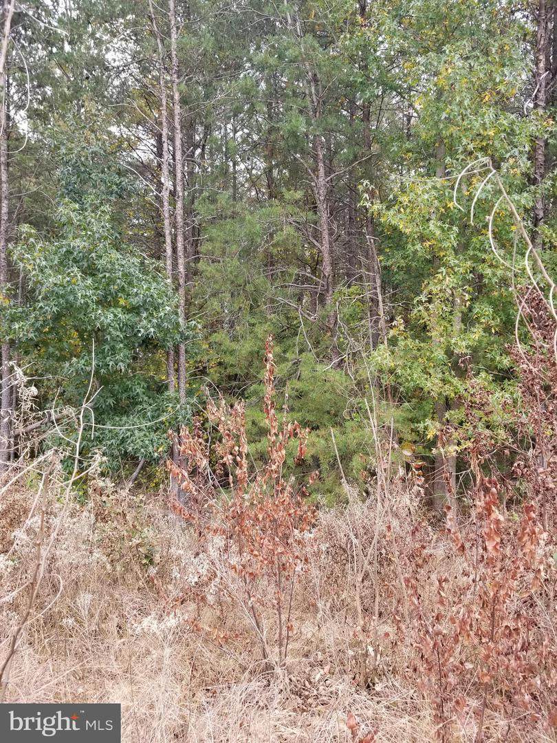 00 Richmond Turnpike - Photo 1