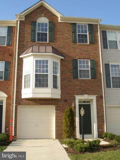 25355 Sweetness Terrace - Photo 1