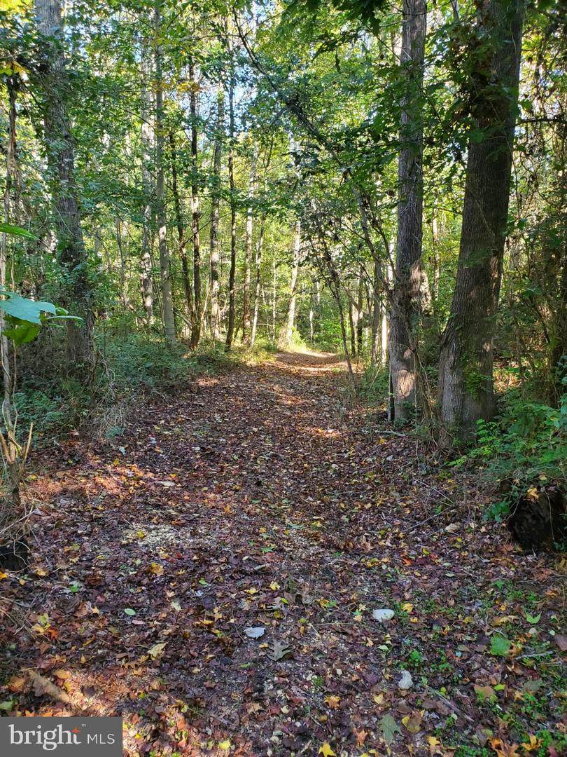 16200 Point Lookout Road - Photo 1