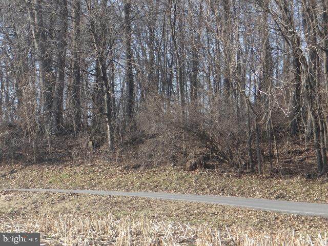 Henry Lane Lot 2 - Photo 1
