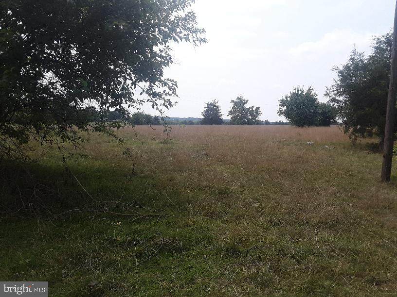 Stones Mill Rd/ Youngs Ln - Photo 1