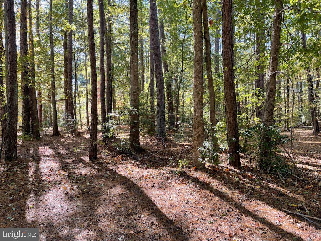 Erica Dr - Photo 1