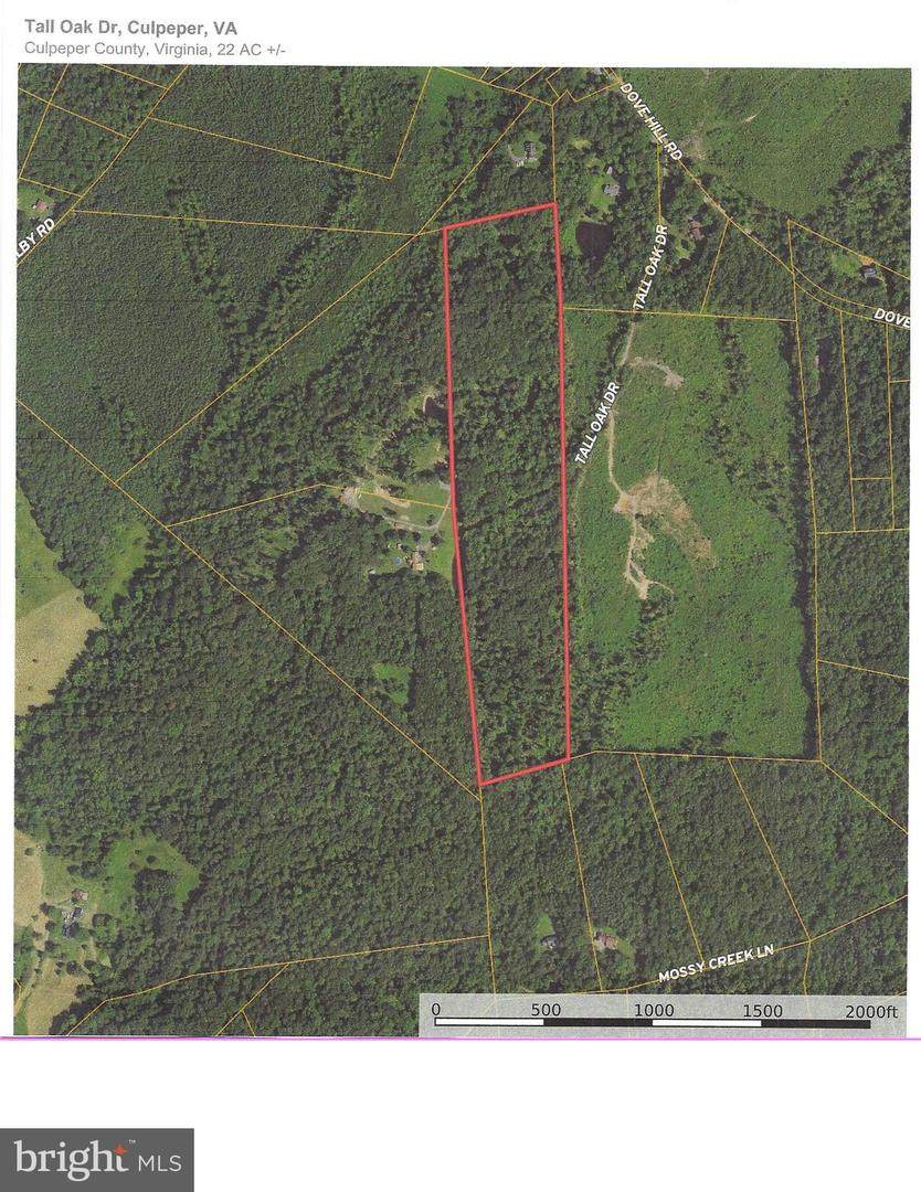 0 Tall Oak Dr - Photo 1