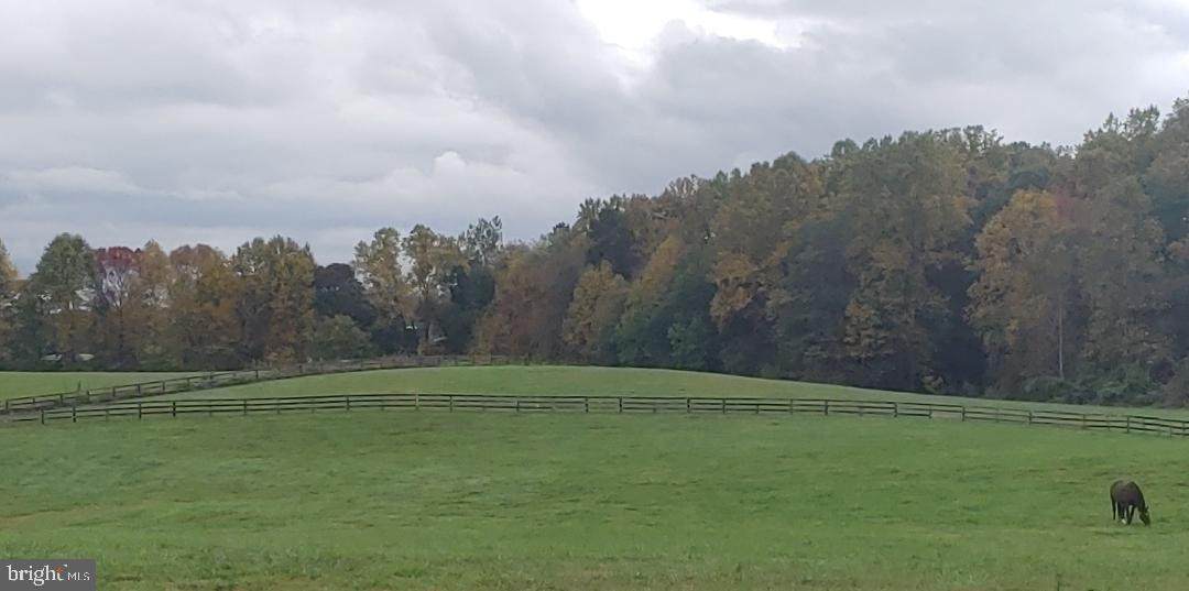 Lot A Twin Oaks Lane - Photo 1