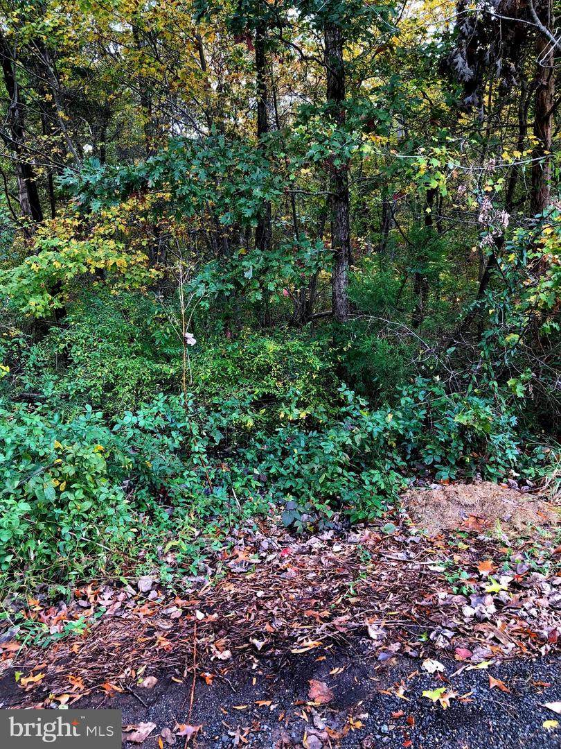 7607 Old Carolina Road - Photo 1