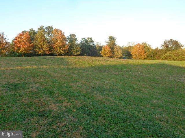 101 Cranes Gap Road - Photo 1