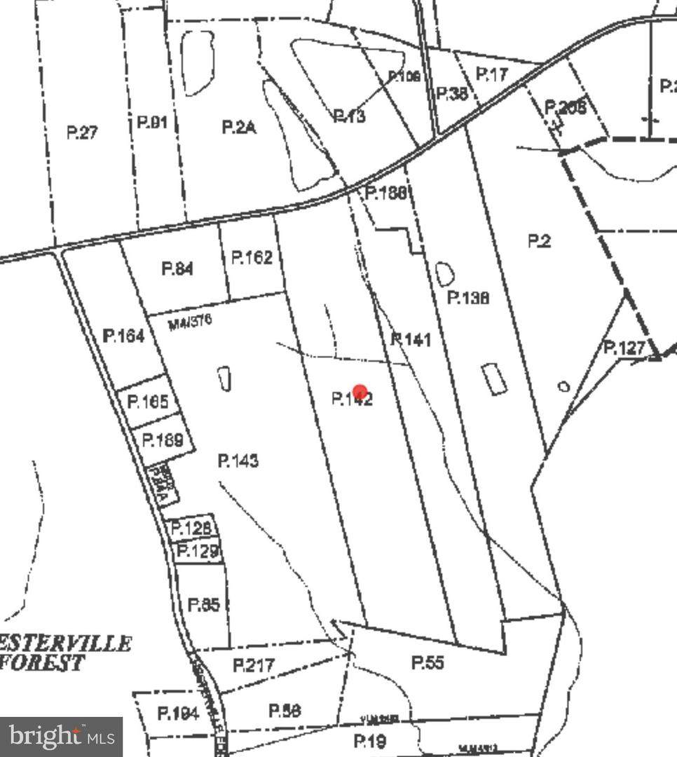 Chestervl-Millington Road - Photo 1