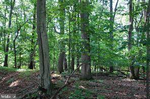 Snydersburg Road - Photo 1