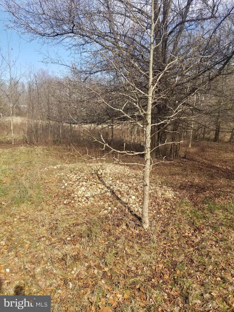 Van Brady Road - Photo 1