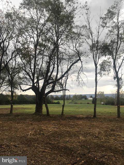 Lot 2 Bergen Drive - Photo 1