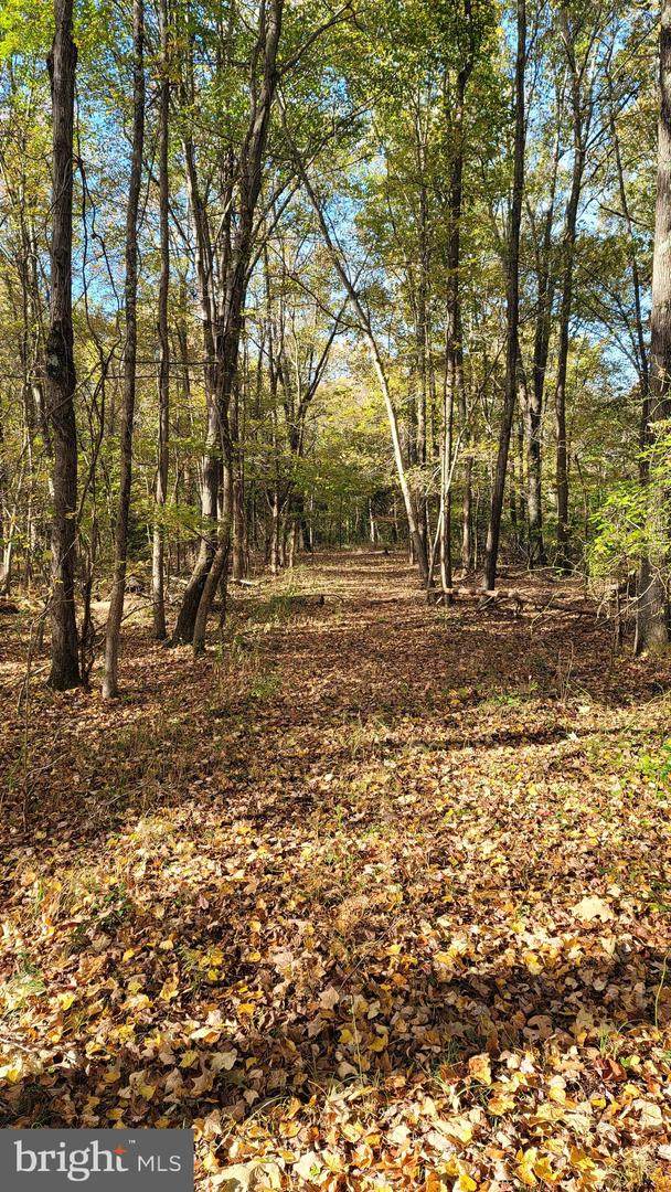 Bumpy Oak Road - Photo 1