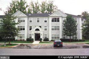 2808 Clear Shot Drive - Photo 1
