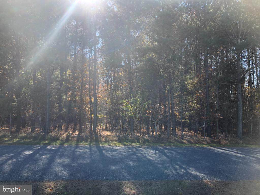 Dion Road - Photo 1