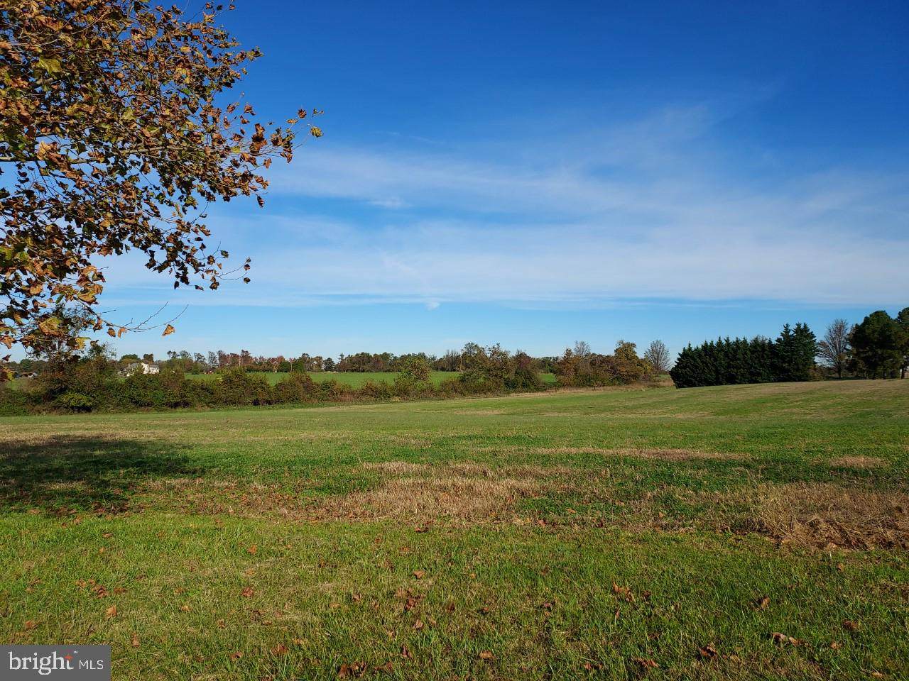 Homestead - Photo 1